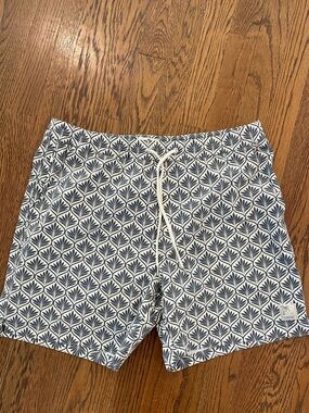 Marine Layer India Ink Agave Print 6-Inch Lined Hybrid Swim Trunks Large Rtl $98